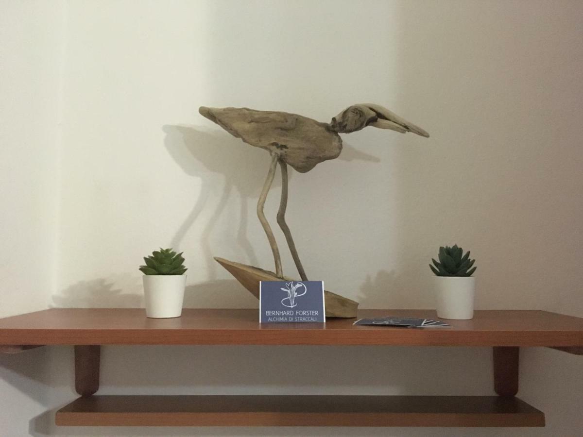 Il Mio Piccolo Angolo Di Mare Apartamento Viareggio Exterior foto